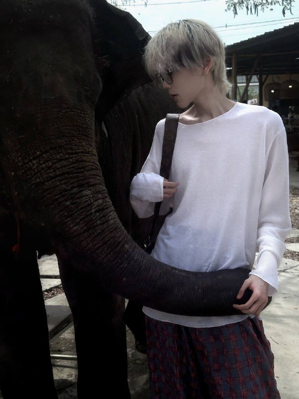 装帅的后果装帅的后果