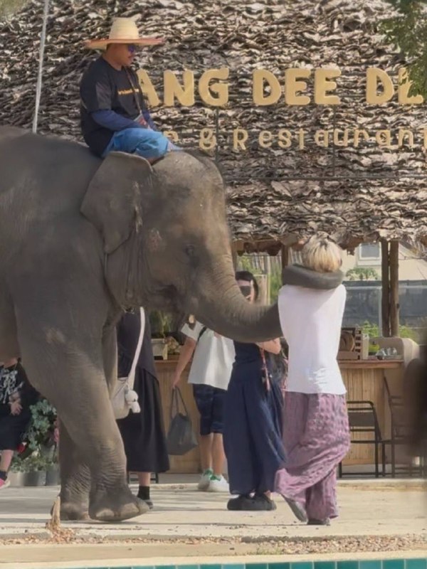 装帅的后果装帅的后果