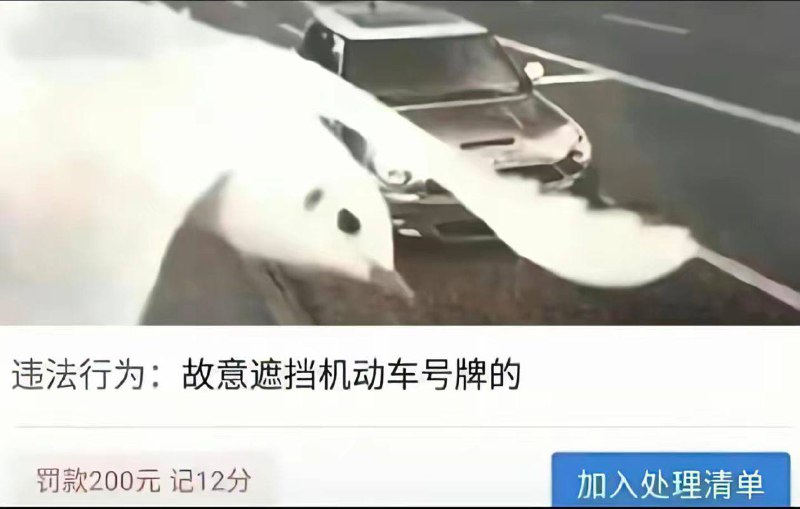 当鸽子不再象征和平当鸽子不再象征和平