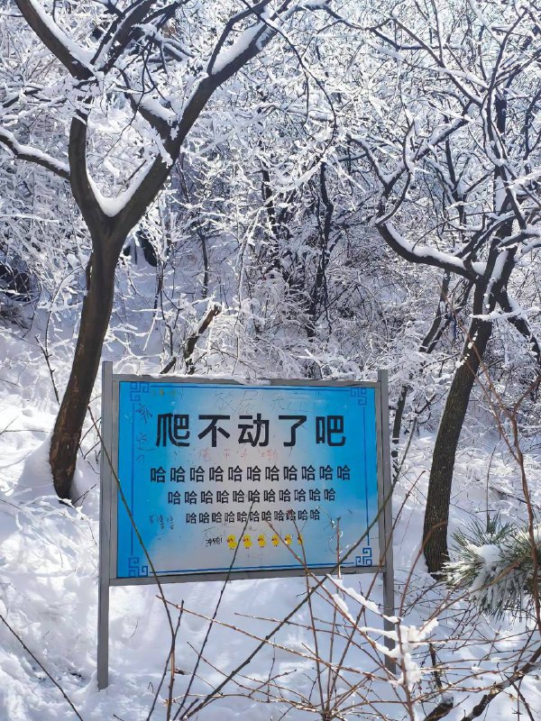 气的我又有劲了