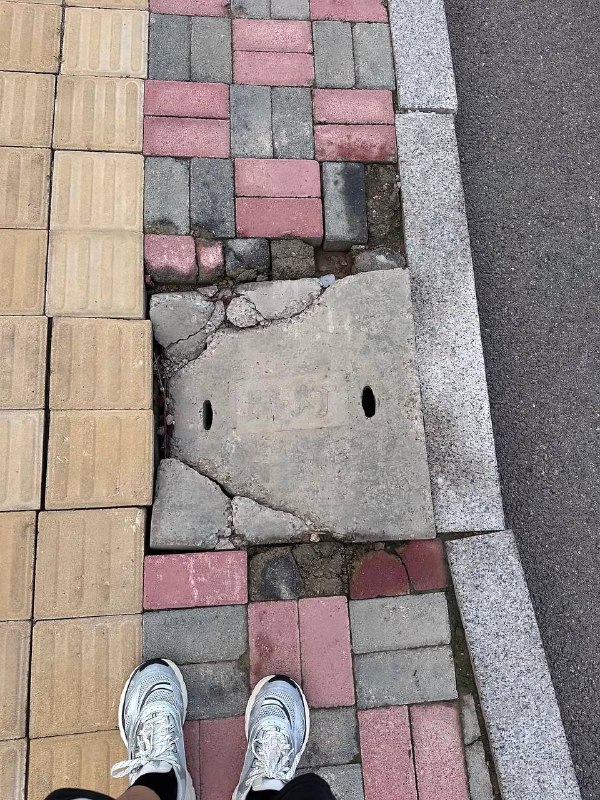 雨后kitty