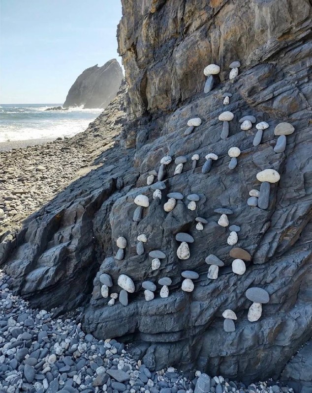 “满山的蘑菇🍄”￼￼“满山的蘑菇🍄”￼￼