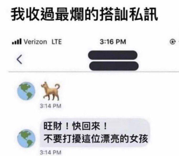 这就是我和旺财热血沸腾的组合技