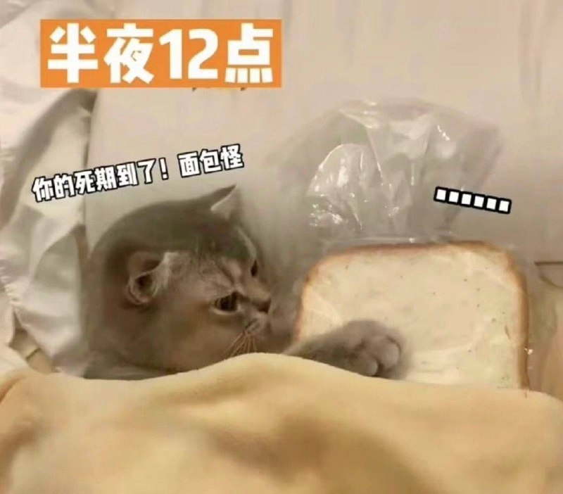 早上：我舍不得碰你晚上：宝贝你好香#面包早上：我舍不得碰你晚上：宝贝你好香#面包