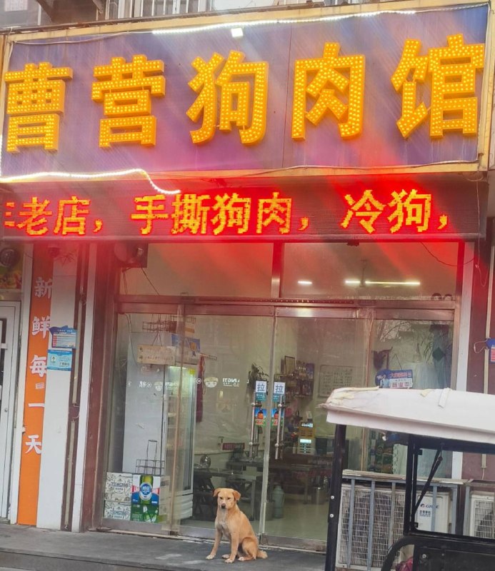 不吃压力