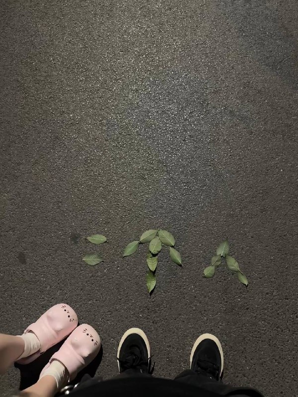 两个人 #落叶￼￼两个人 #落叶￼￼