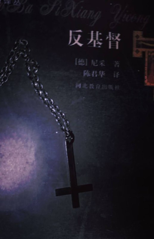 #中世纪文学 #尼采 #书籍#中世纪文学 #尼采 #书籍