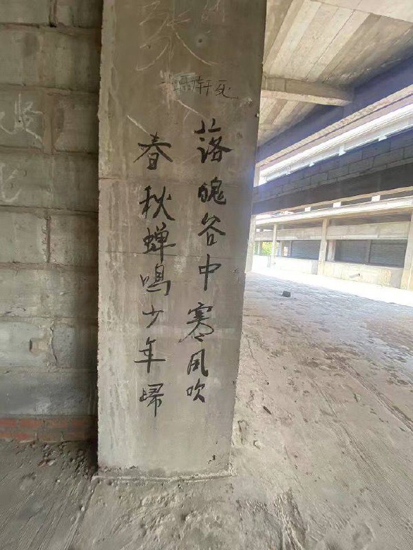 此地竟有蛊仙传承 #蛊真人