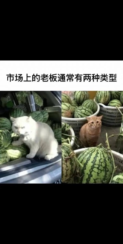 还有那种看着老实巴交，其实阴你的人