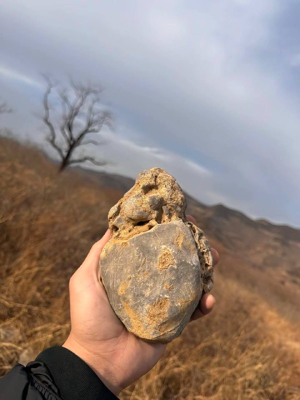 这次我把我的心都给你好吗