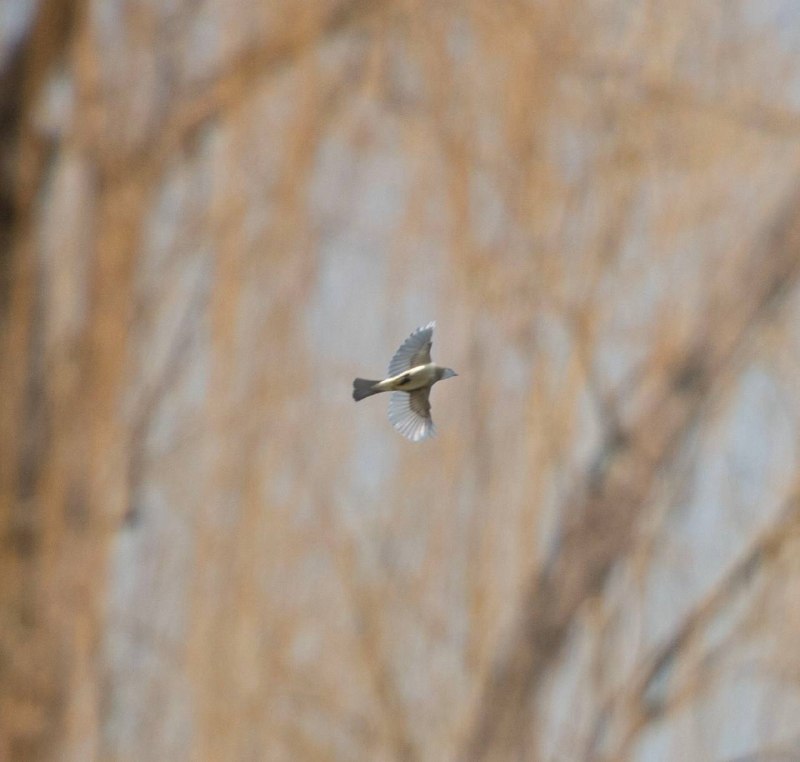 不愧是尼康 #人像摄影 #对焦不愧是尼康 #人像摄影 #对焦