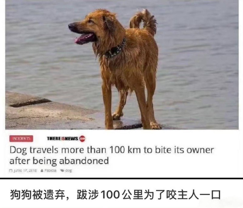 这一口会很疯狂