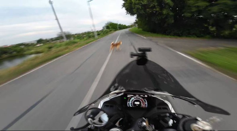 成功获取魂环成功获取魂环