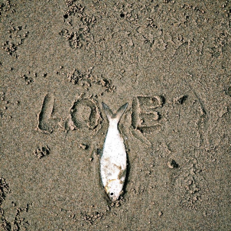 LO🐟E#沙滩