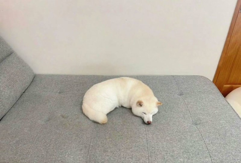右滑找隐藏的修勾￼右滑找隐藏的修勾￼