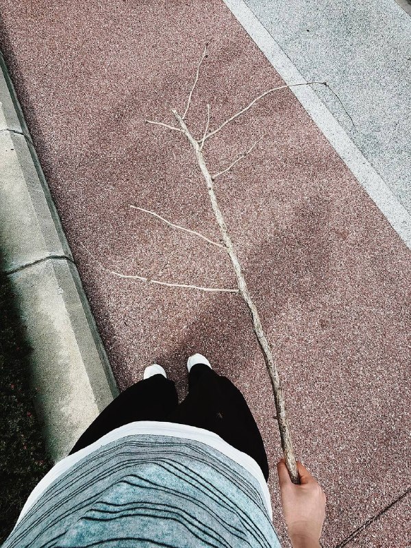 艺术水平有说法的艺术水平有说法的