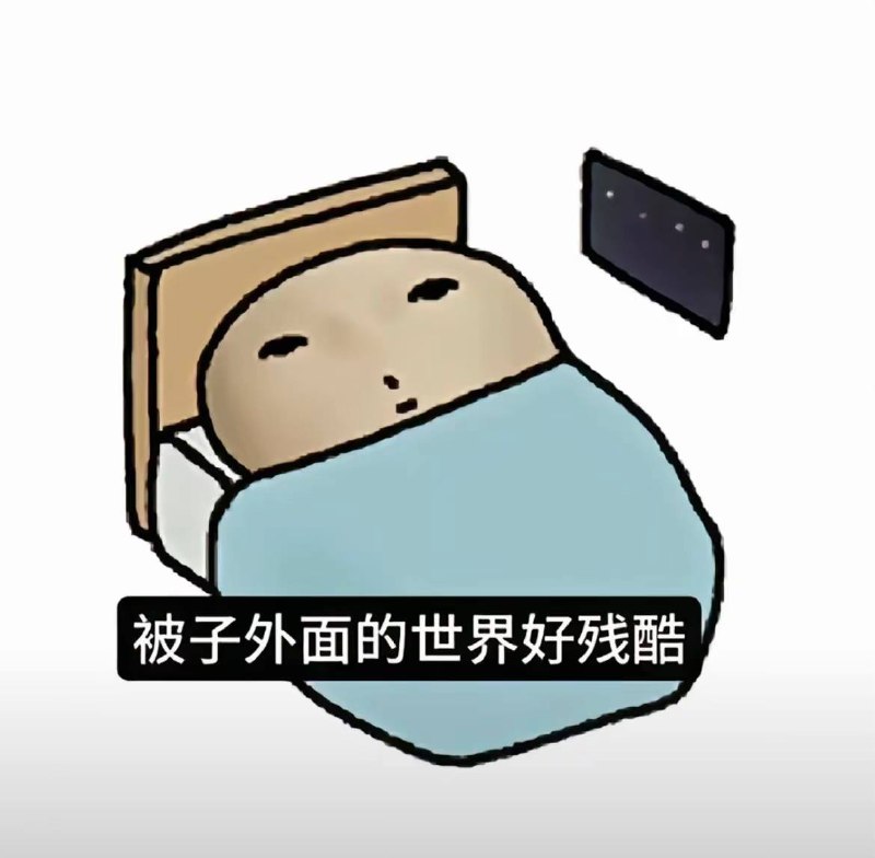 没有人不爱自己的被子！
