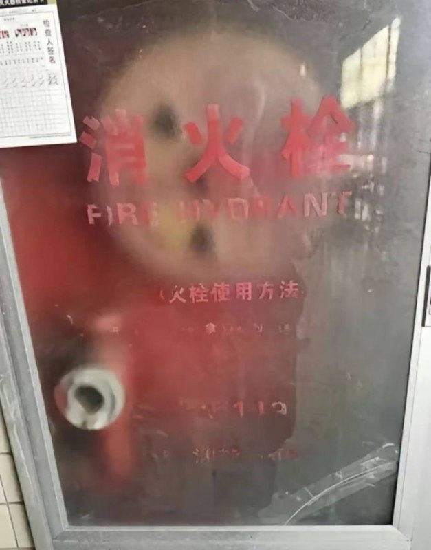 我本无相，万般皆是我#圆头耄耋 #哈基米￼￼