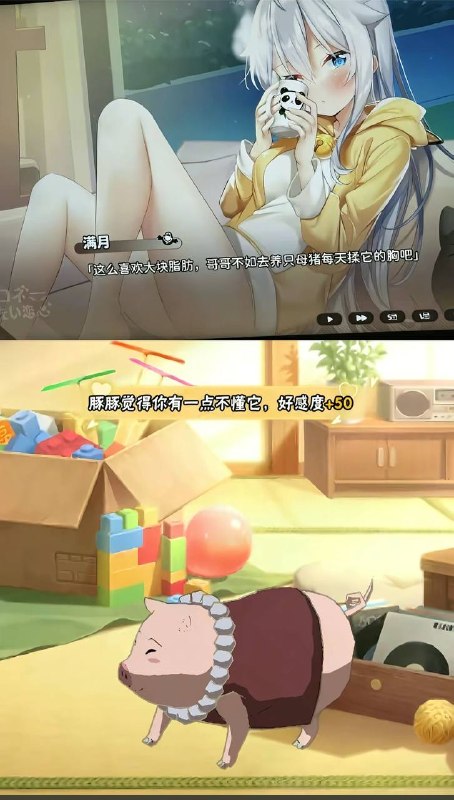 豚豚的爱盖过了你对它的伤害
