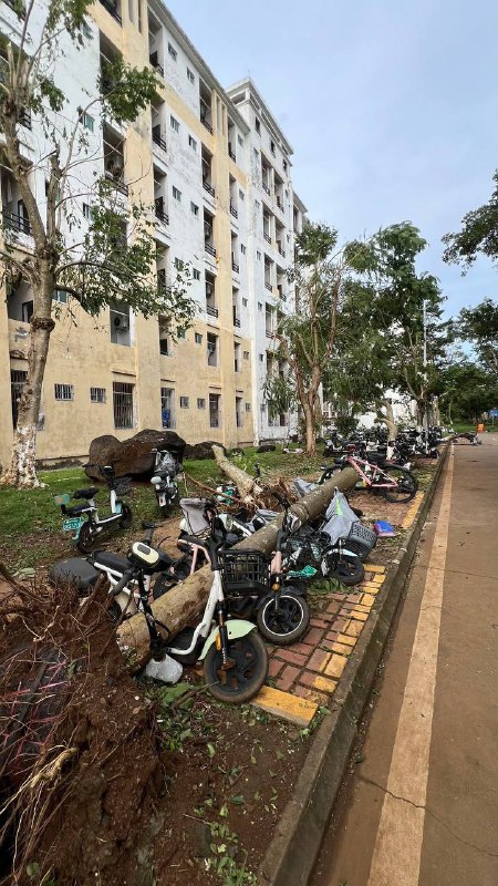 车主看到都懵了