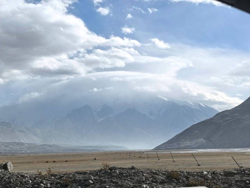 护山大阵护山大阵