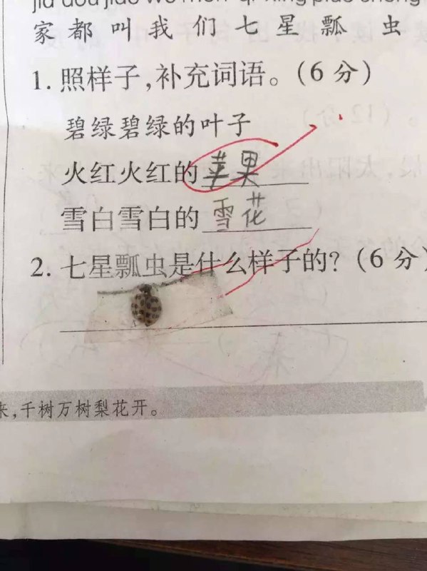 想象能力不详动手能力极强