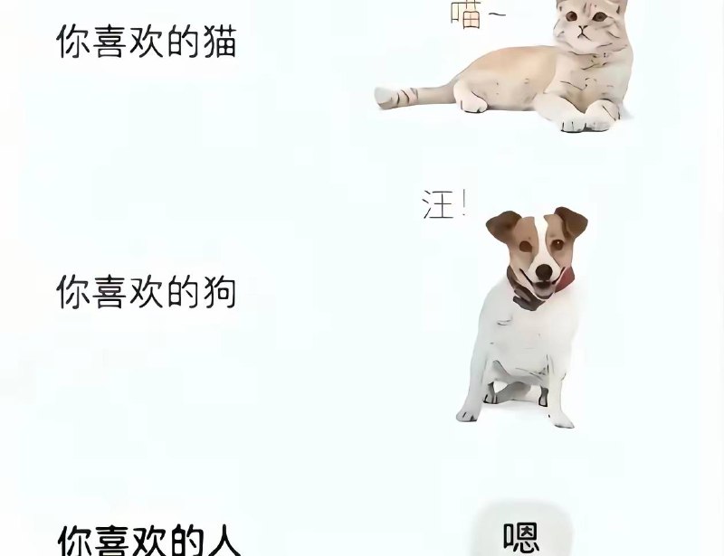 聊天很舒服吗？嗯都叫上了