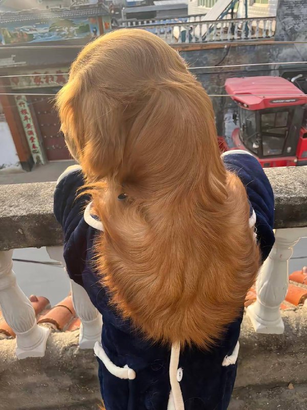 第一眼以为是金发美女