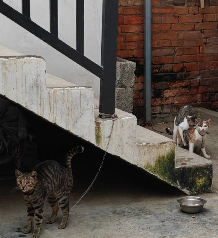 三花的制作过程