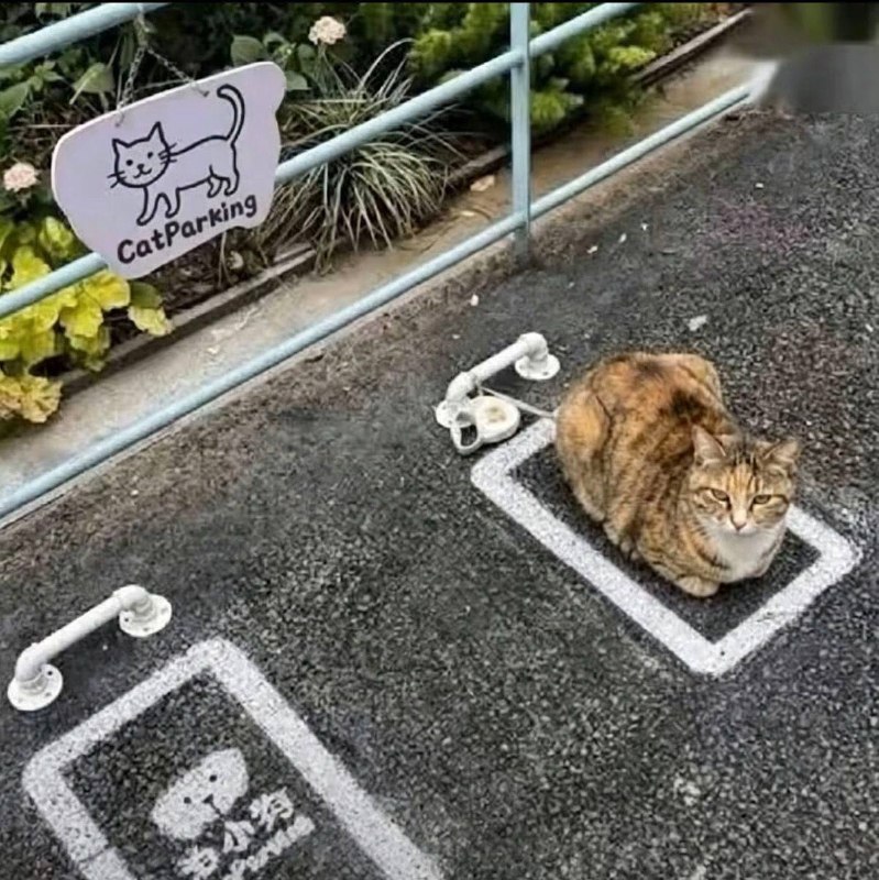 停咪位￼￼