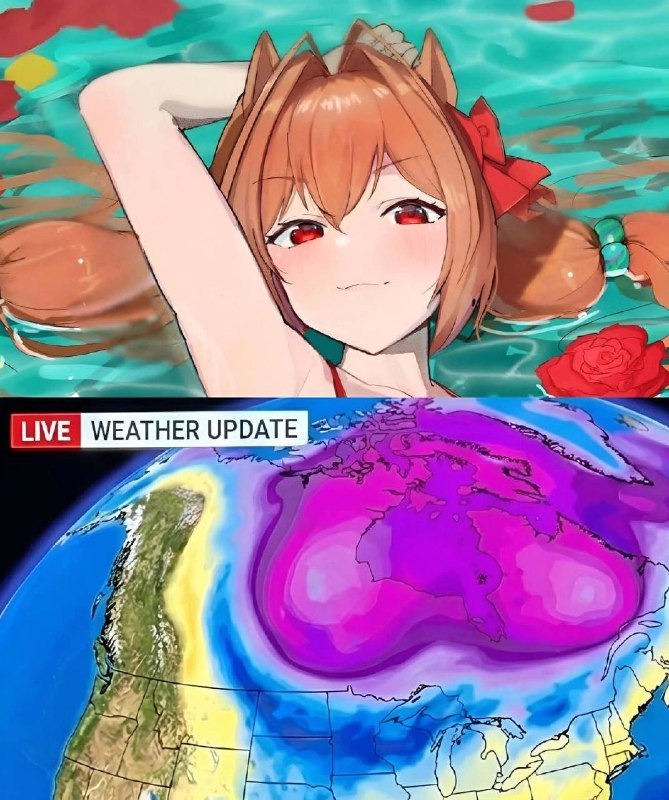 我将要疯狂舔食加拿大的魁北克省