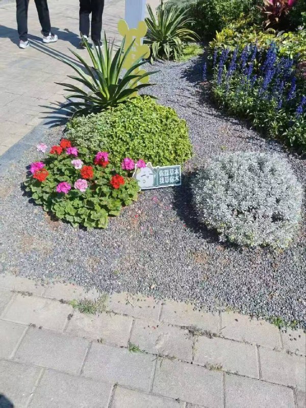 一眼望到人类文明的尽头