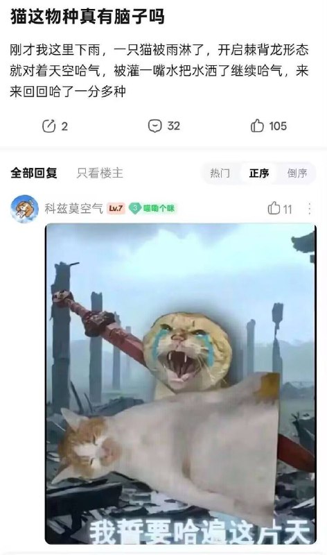 能意识到雨是从天上下来的已经是猫界爱因斯坦了