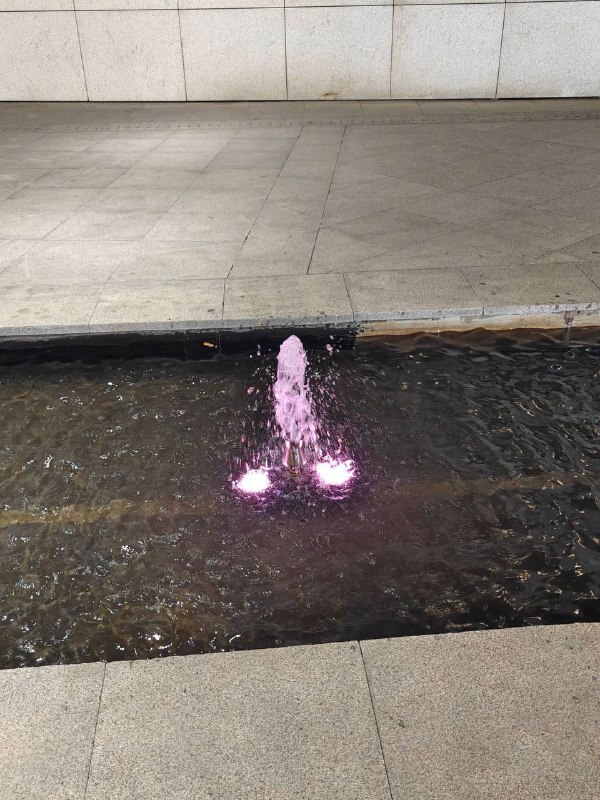 一天给我投稿些什么玩意