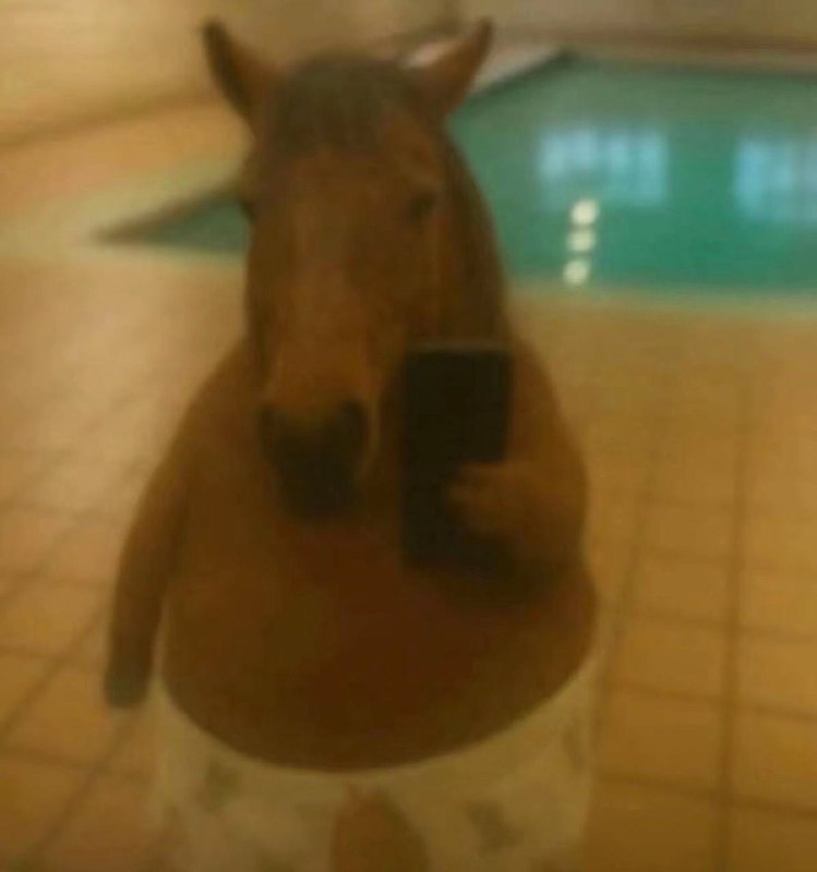 新头像来了新头像来了