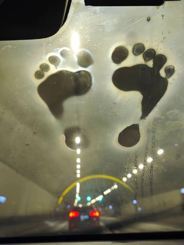 《这里有人来过》