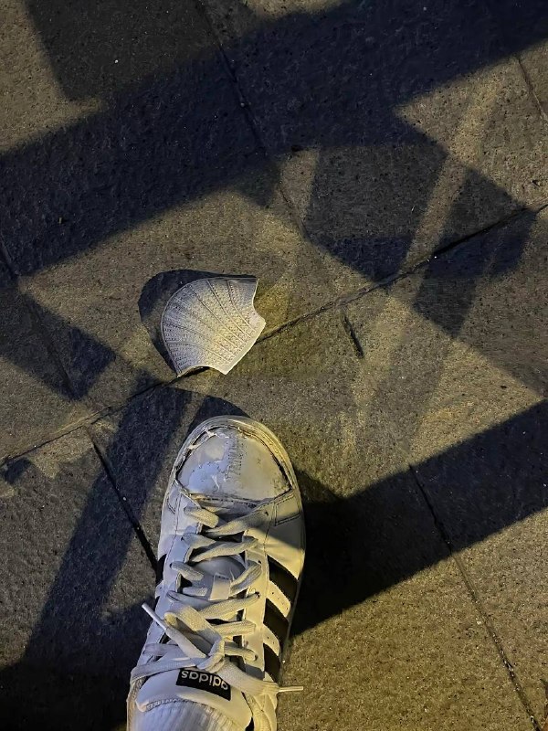 贝壳头你自由了￼￼