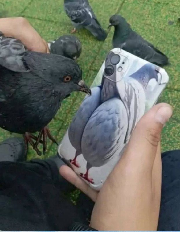 已消耗一次免费次数