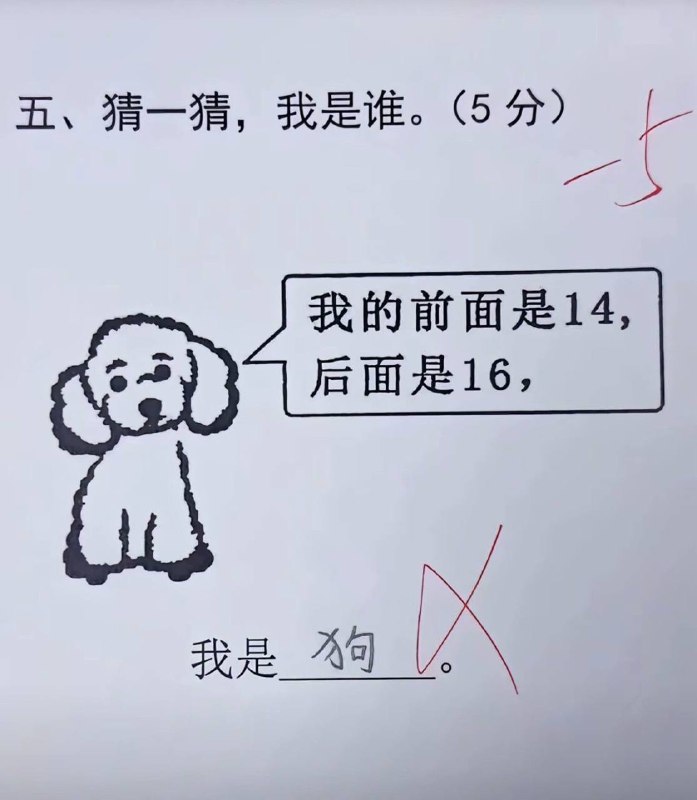 为什么错知道吗 写的不够准确 这是泰迪