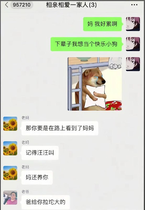 妈妈提供情绪价值 爸爸提供营养价值 #聊天记录