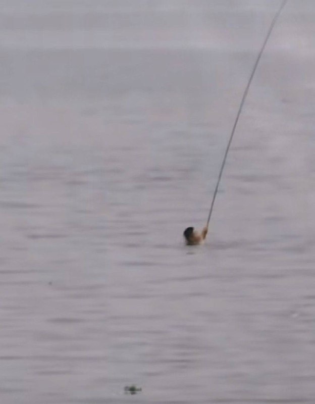 骨灰级钓鱼人骨灰级钓鱼人