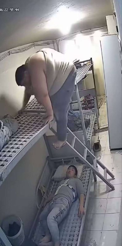 对生的渴望与无能为力￼￼对生的渴望与无能为力￼￼