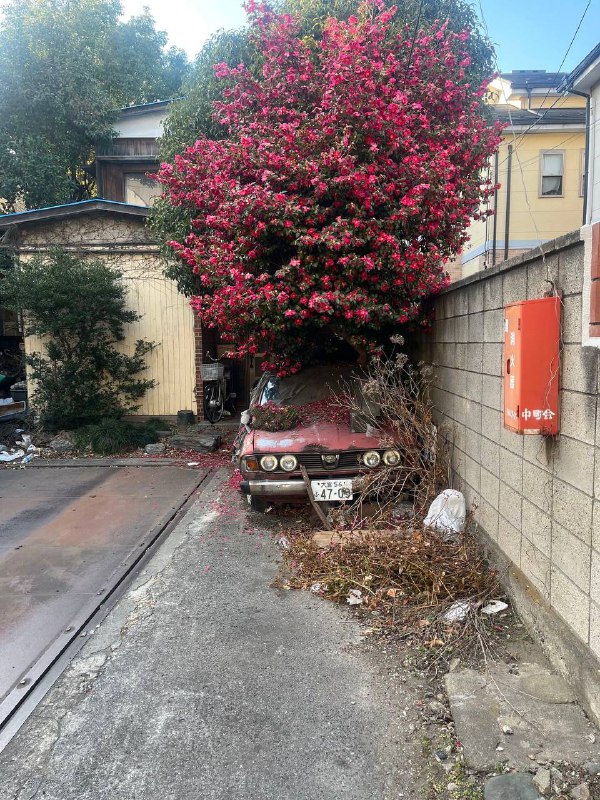 被人遗忘在角落的浪漫被人遗忘在角落的浪漫