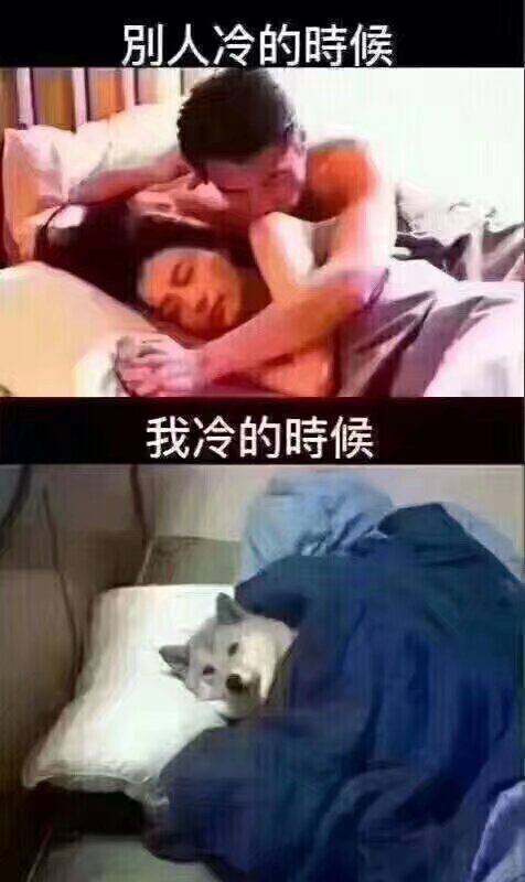 显而易见 群友是下面那个