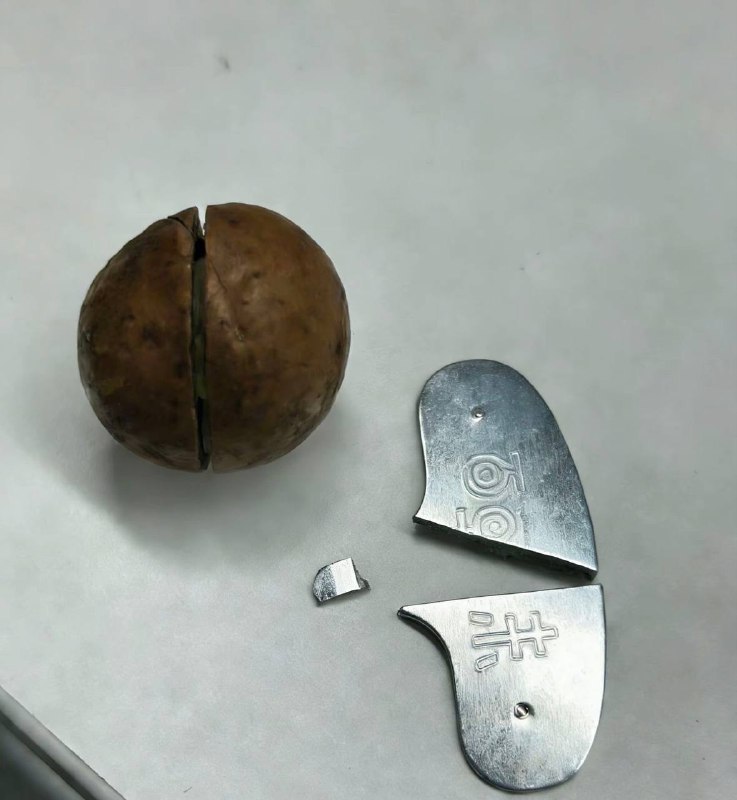 用夏威夷壳做开果器