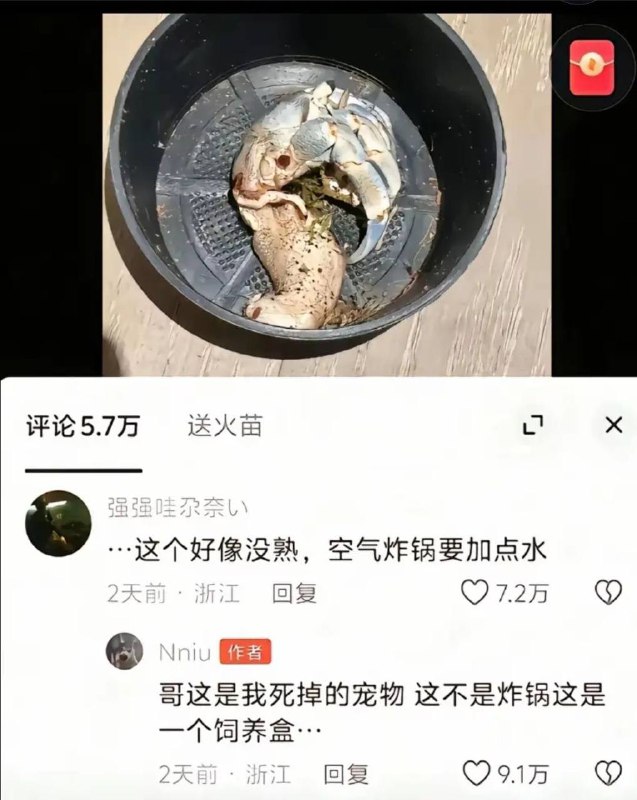 我寻思这是谁吃剩的呢