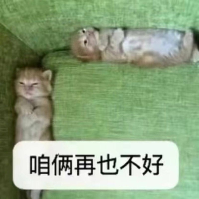 都没人和我好都没人和我好