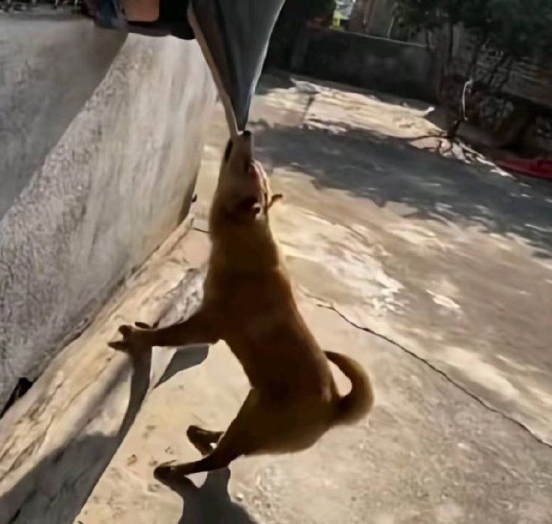 情头 #头像推荐情头 #头像推荐