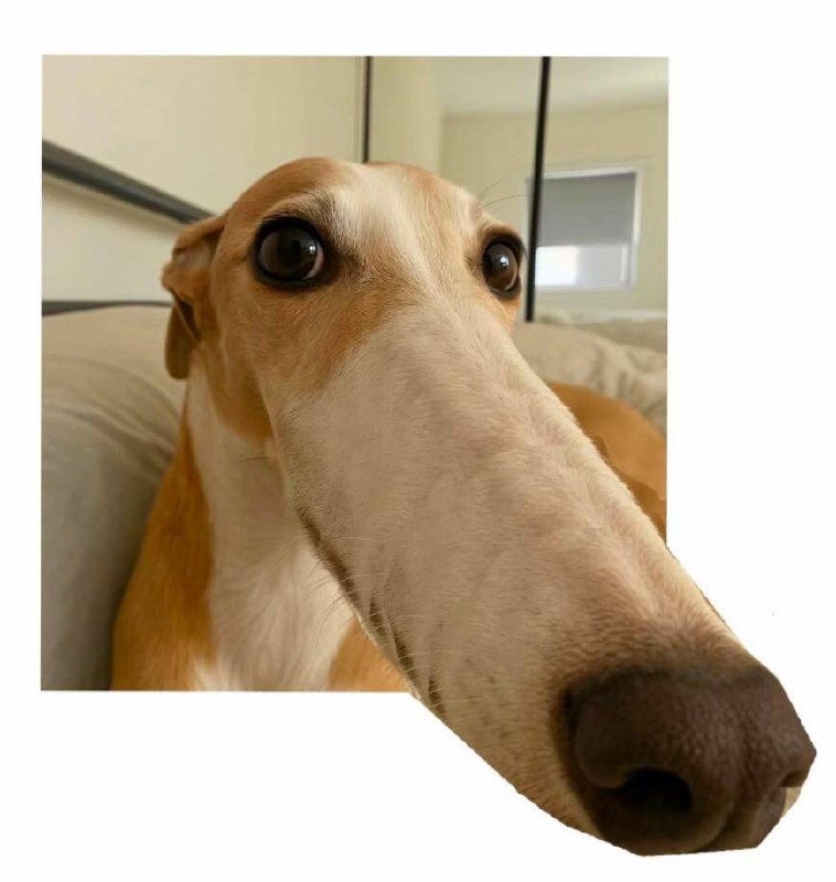 #头像 #分享#头像 #分享