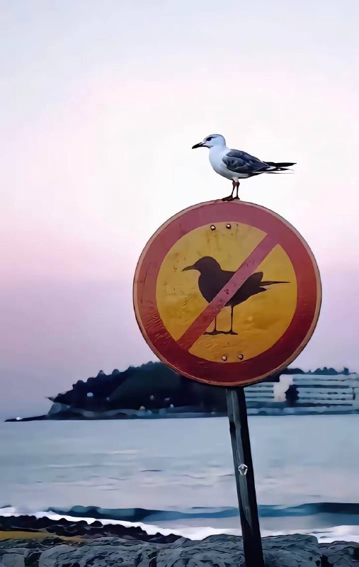 鸟：我鸟都不鸟他